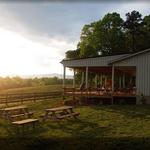 Knight's Gambit Vineyard