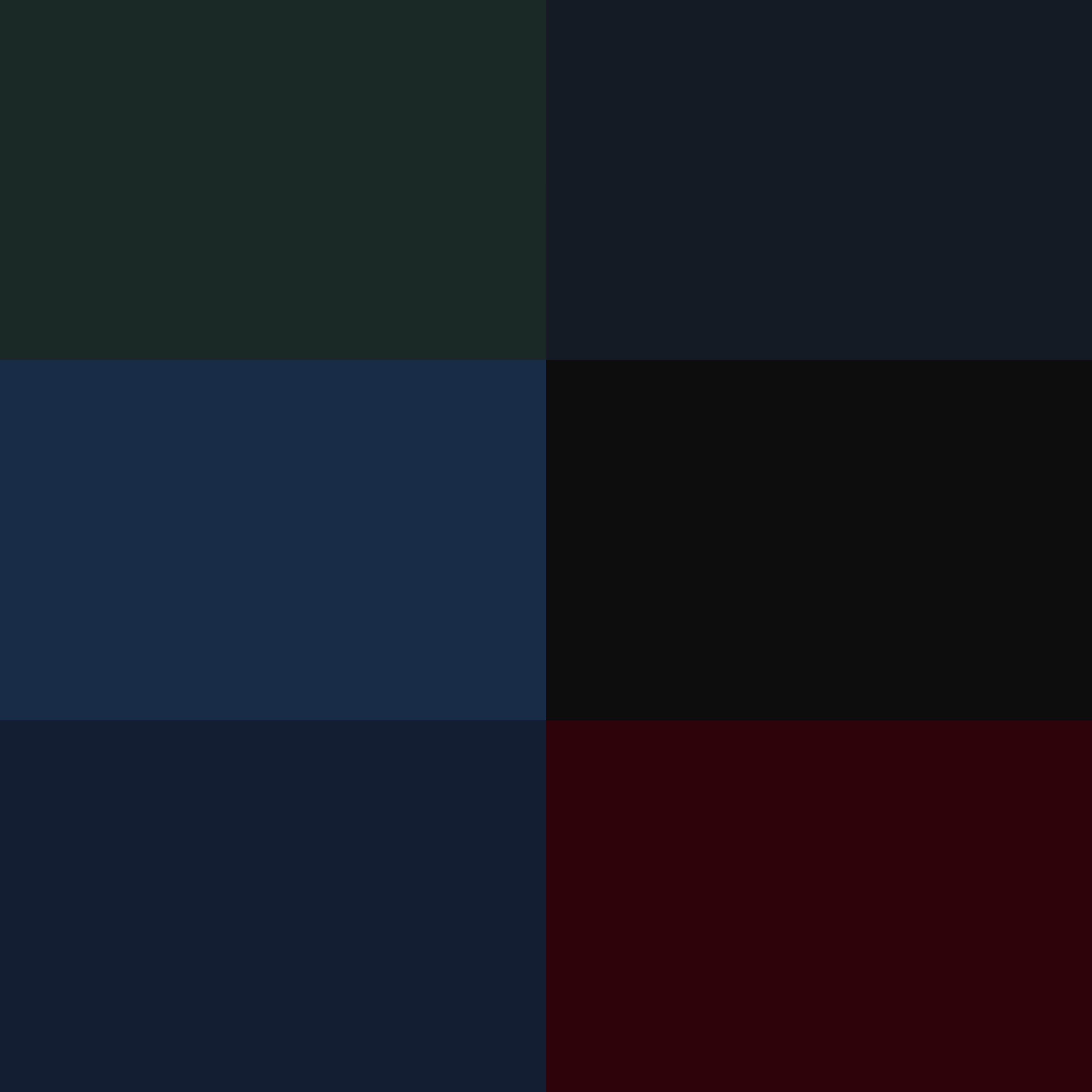 Gentlemen: Dark Suit and Tie