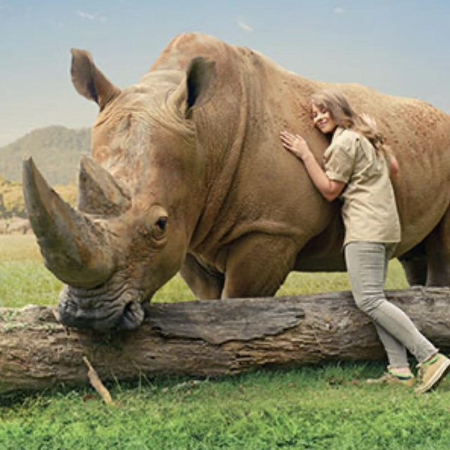 Rhino Encounter | Australia Zoo