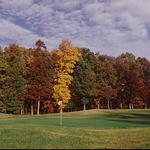 Golfing