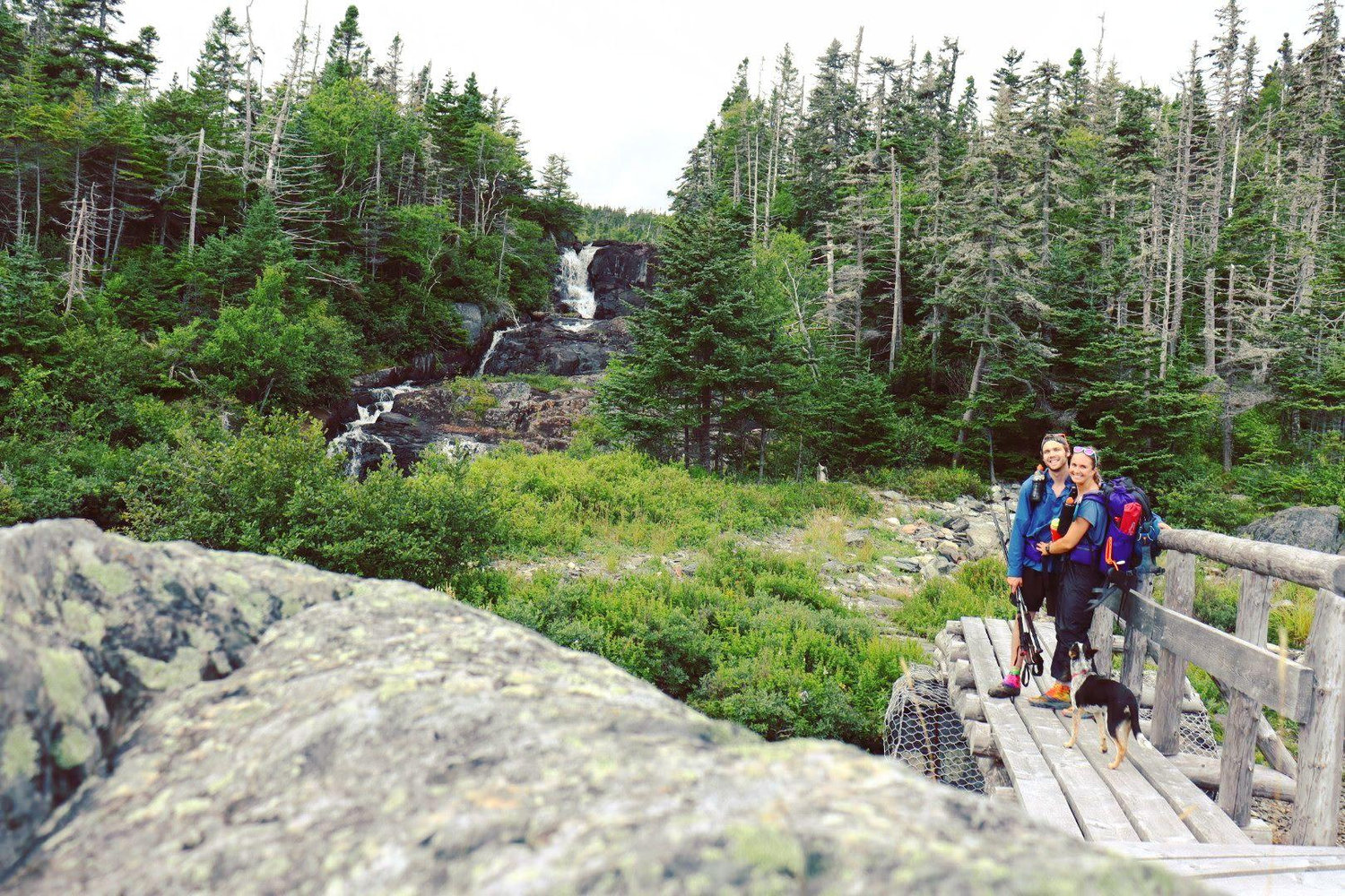 The Wedding Website of Kailee Weber and Stefan Wood