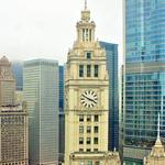 Activity: Chicago River Boat Architecture Tours