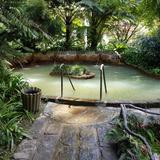 Parque Terra Nostra - Botanical Garden and Thermal Baths