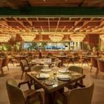 Harry's Steakhouse & Raw Bar | Cabo