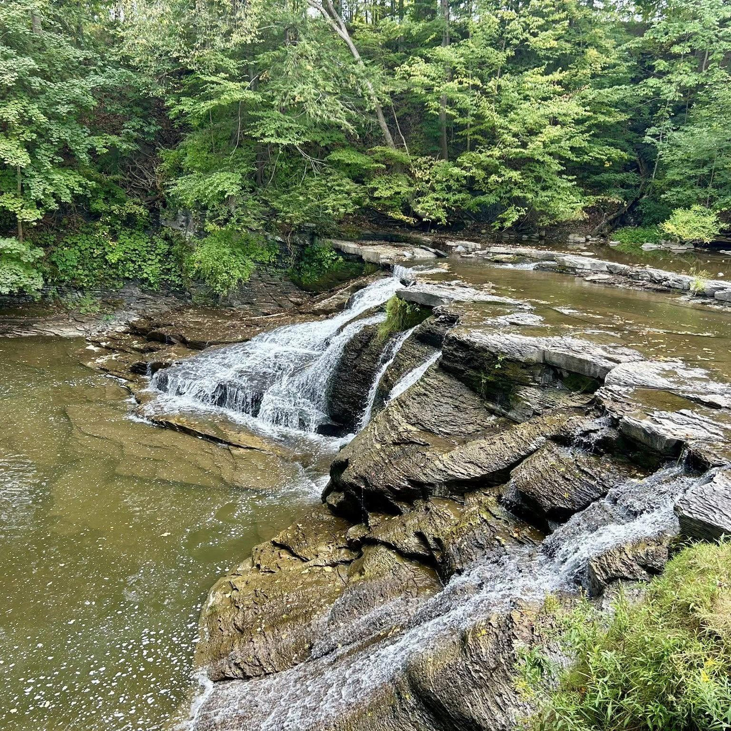 The falls <3