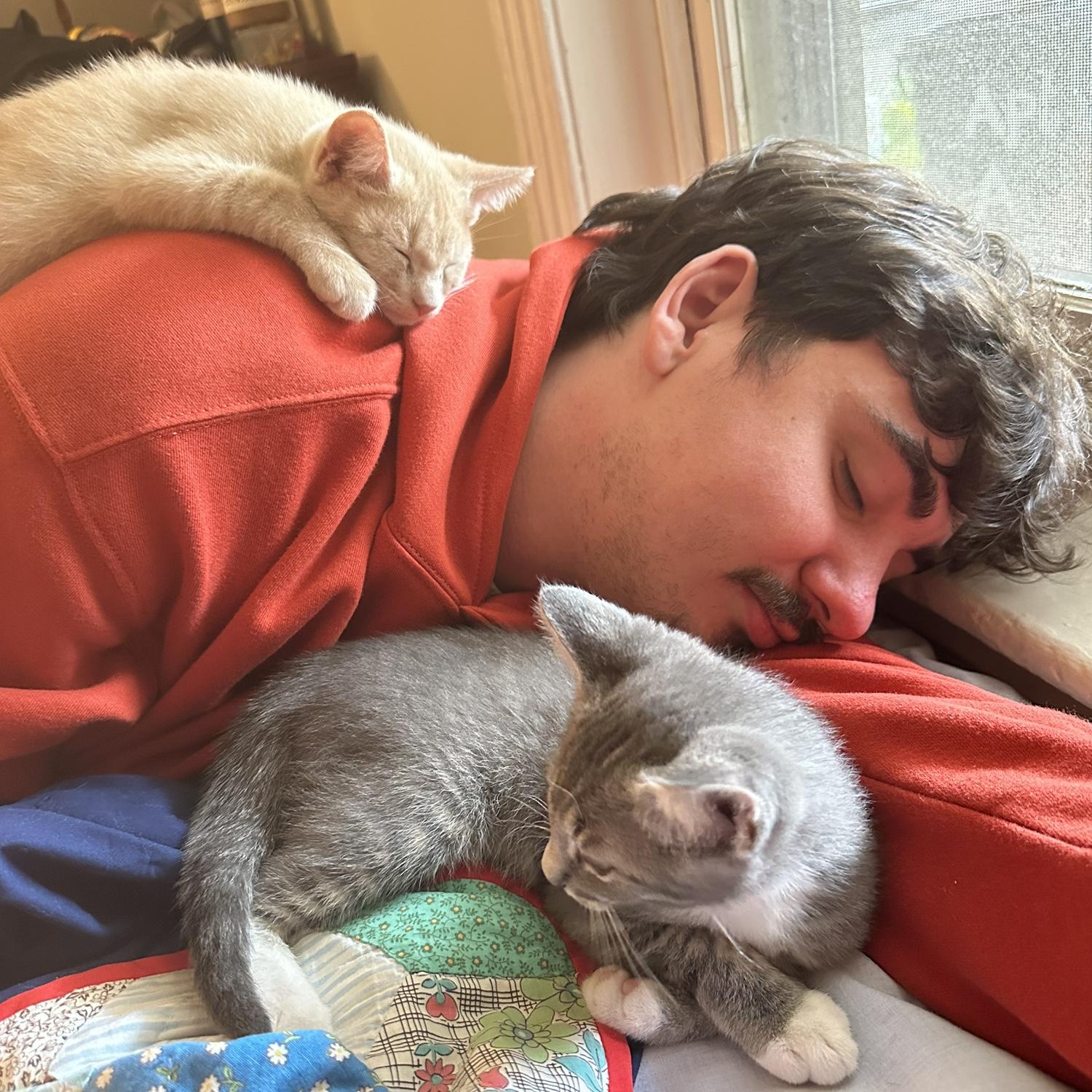Took home our two sweet boys - George (grey) and Julius (orange) in May of 2025!