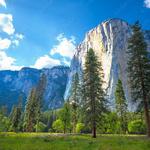 El Capitan Meadow