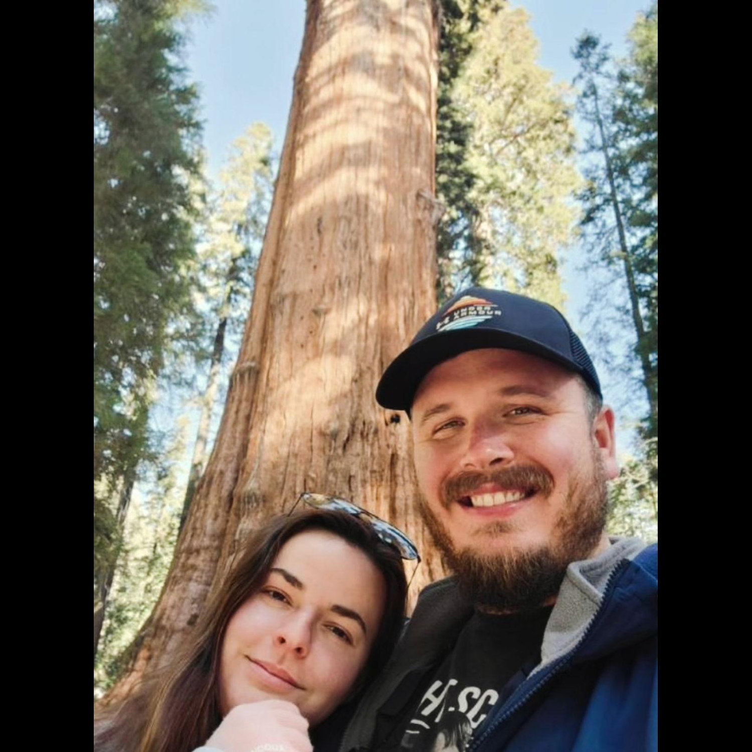 Giant sequoia in sequoia NP