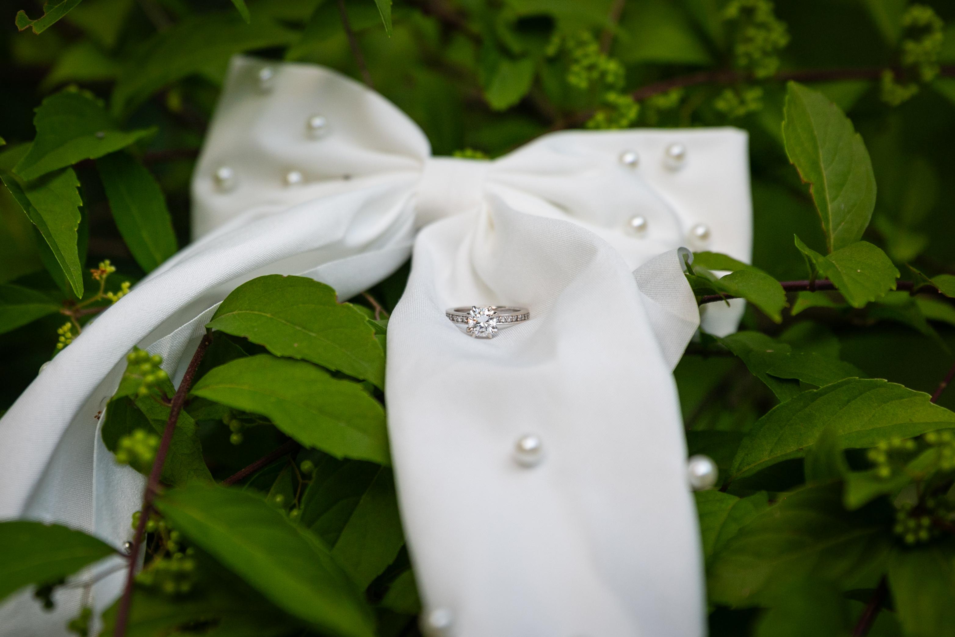 The Wedding Website of Alyssa Gaskin and Matthew Velardi