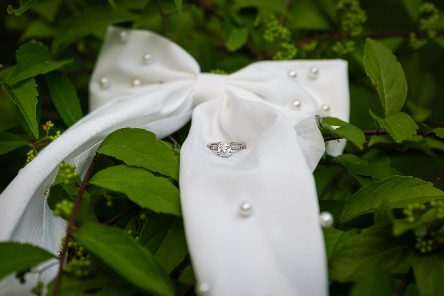 The Wedding Website of Alyssa Gaskin and Matthew Velardi