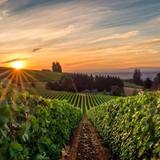 Willamette Valley
