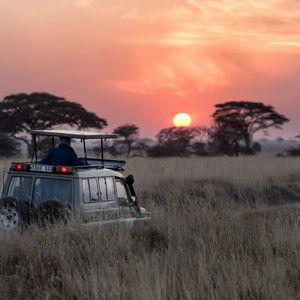 Safari at Kwandwe