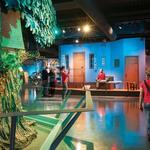 Senator John Heinz History Center