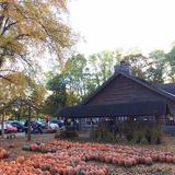Powers Farm Market