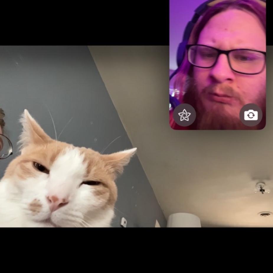 long-distance FaceTime with our cat Franklin