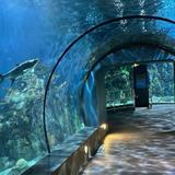 Downtown Aquarium
