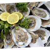 St. Augustine Fish House & Oyster Company