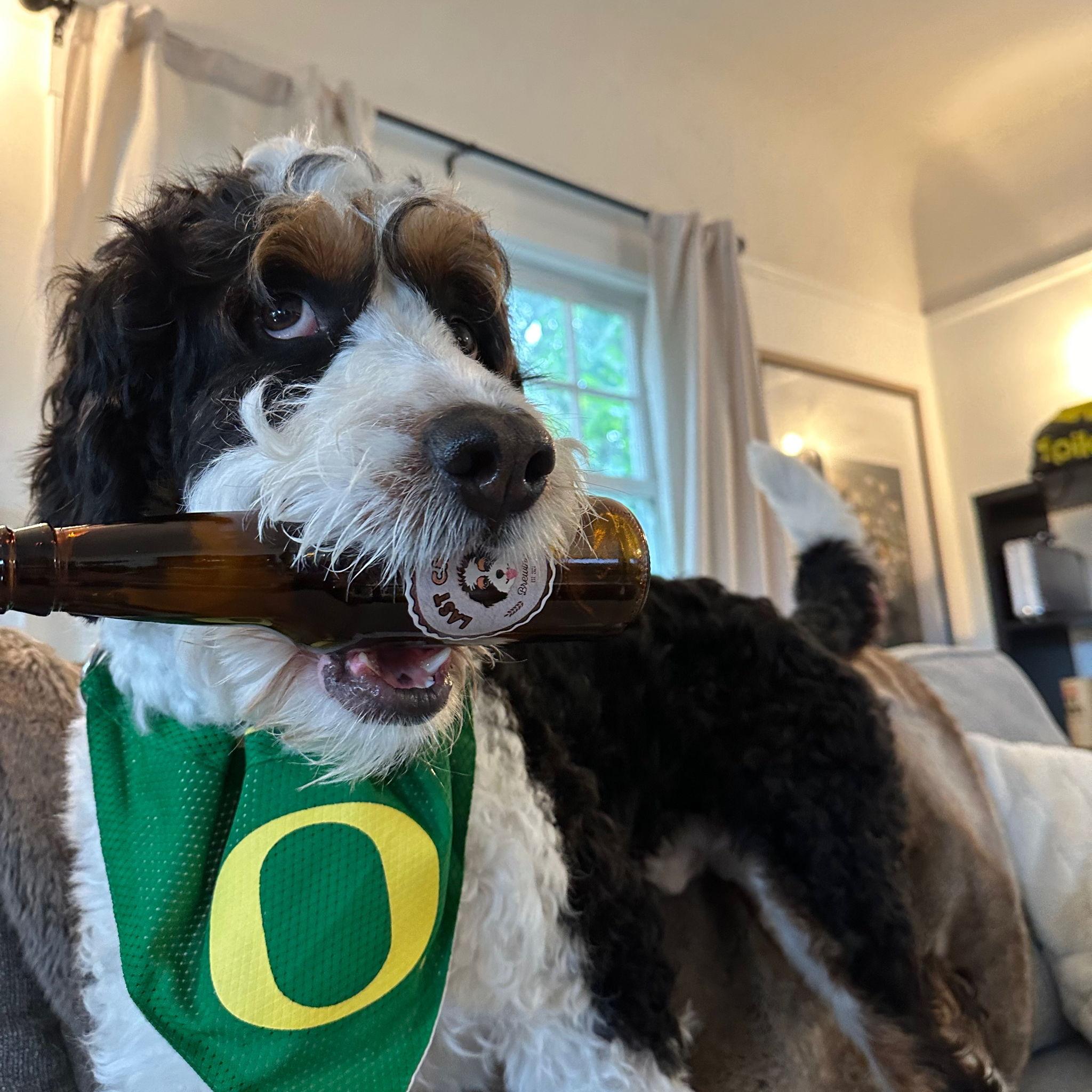 Ryan & Isaac brewed beer in San Diego, we named it Chants brewery with Chants being the main character.