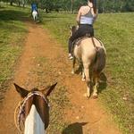 Horseback Riding