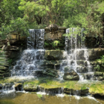 Zilker Botanical Garden