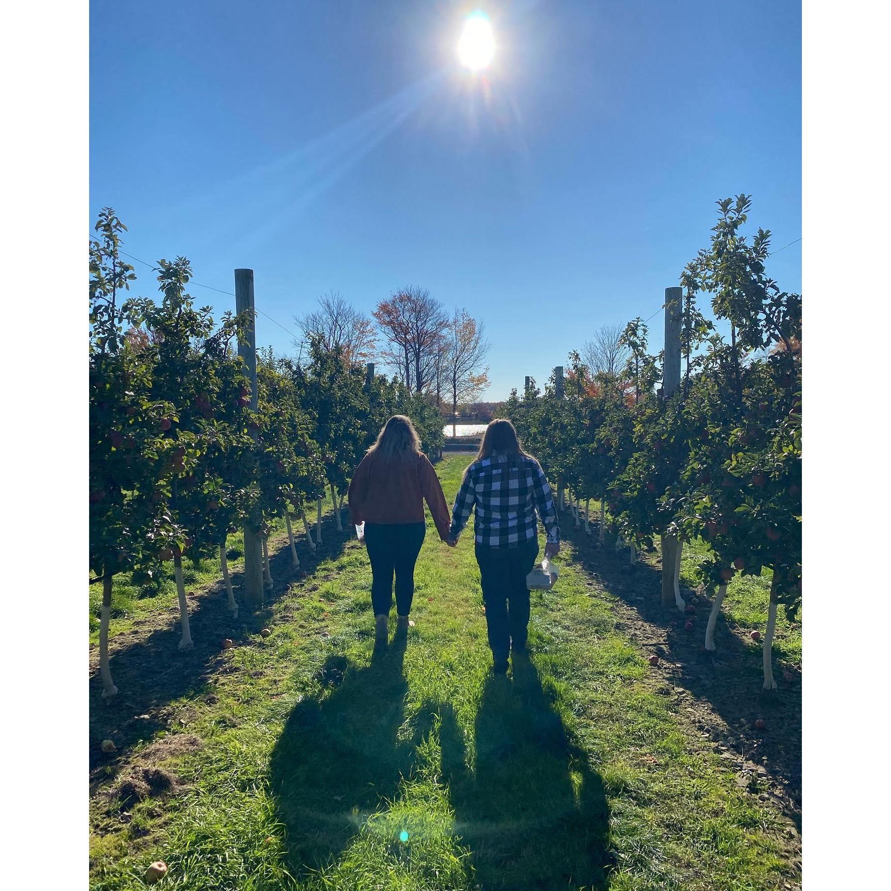 We like long walks through the apple trees on a crisp fall day