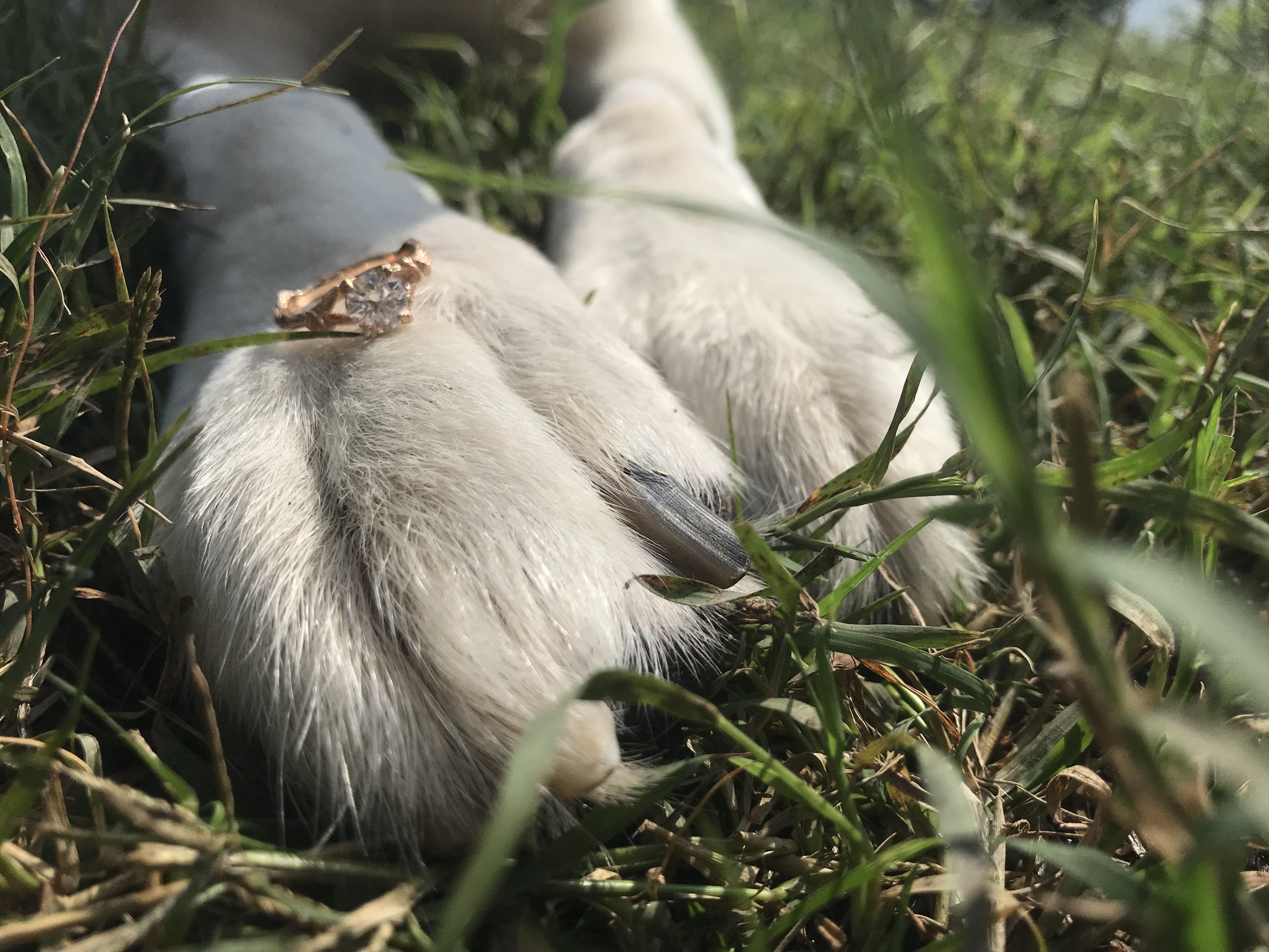 411bb308-0857-4611-953a-45589dbd444e