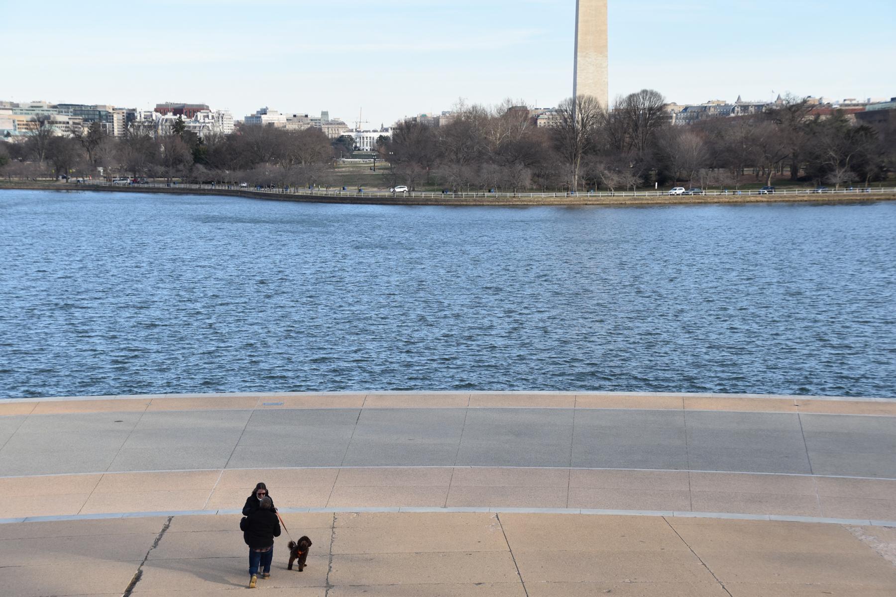 Conner’s proposal to Breanne at the Tidal Basin Steps in Washington, DC