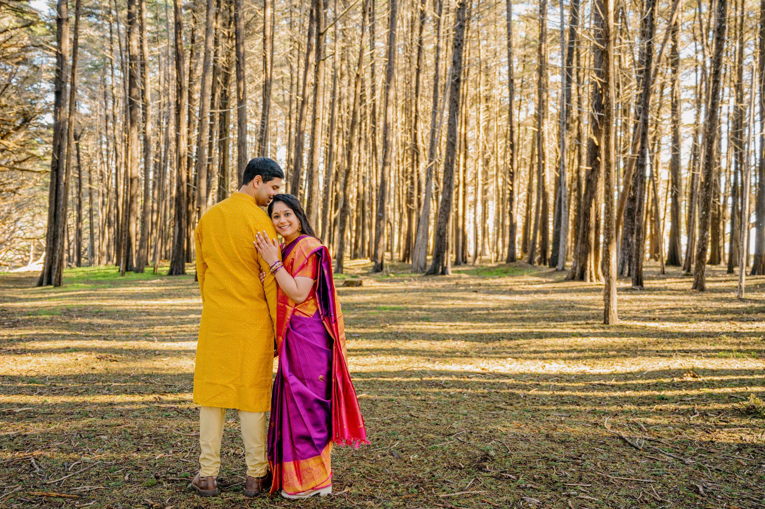 The Wedding Website of Nandhitha Kumar and Ashwin Srikant