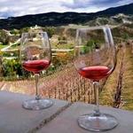 Temecula Valley Wineries and Vineyards