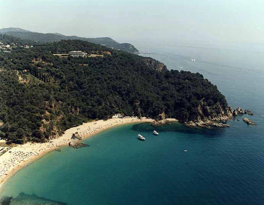 The Wedding Website of Colleen Fugate and Ariel Arguedas Fernandez