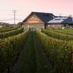 Newport Vineyards