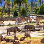 San Diego Zoo & Safari Park