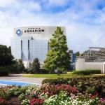 Virginia Aquarium & Marine Science Center