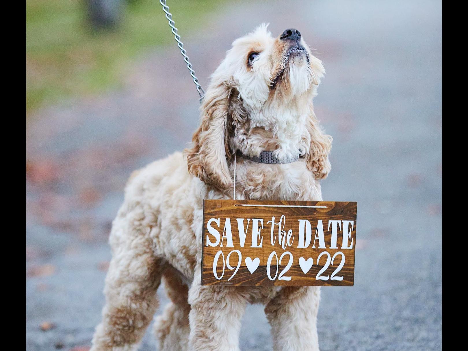 The Wedding Website of Patrick McCurry and Nicole Schaefer
