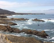 morro bay whale watching