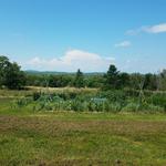 Sweetgrass Farm Winery and Distillery