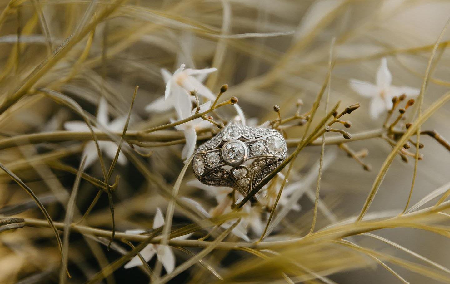 The Wedding Website of Shannon Flanagan and Hunter Hudak