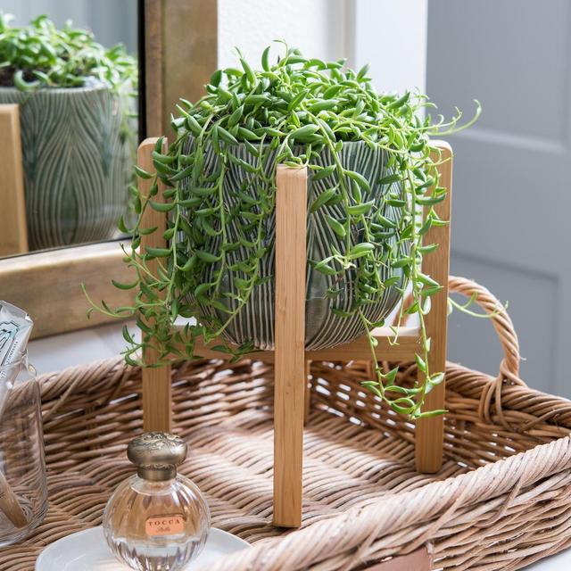 Embossed Planter with Stand