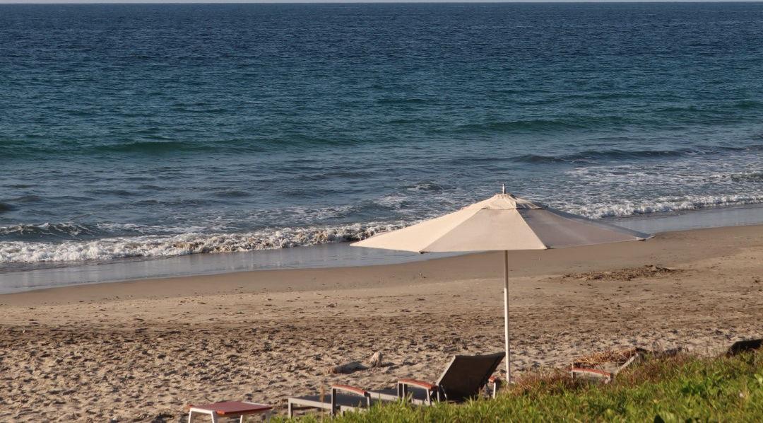 The Wedding Website of Josh Swain and Victoria León de la Vega