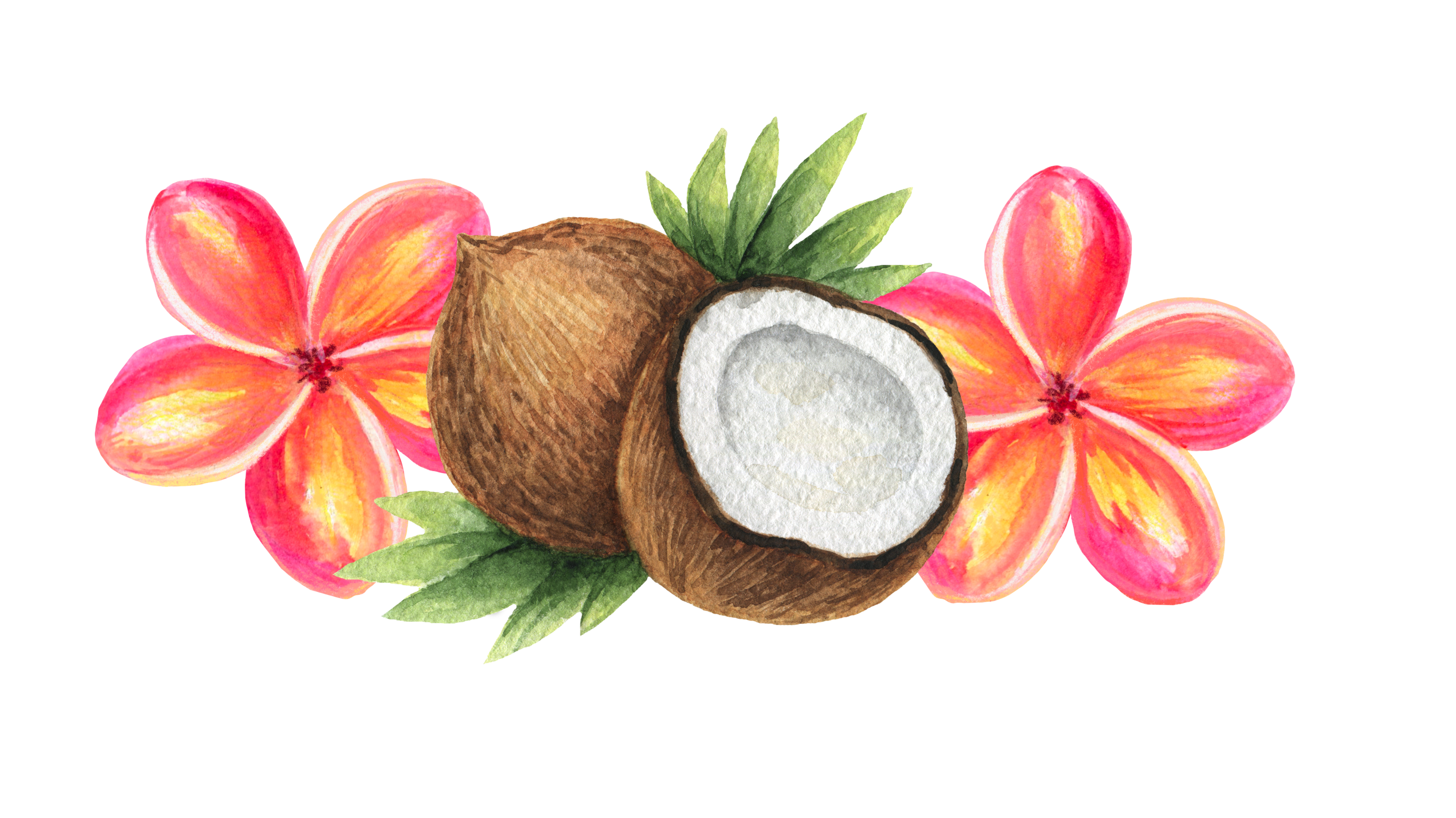 The Wedding Website of Shenaye Campbell and Ratu Vuibau