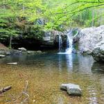 Lake Catherine State Park