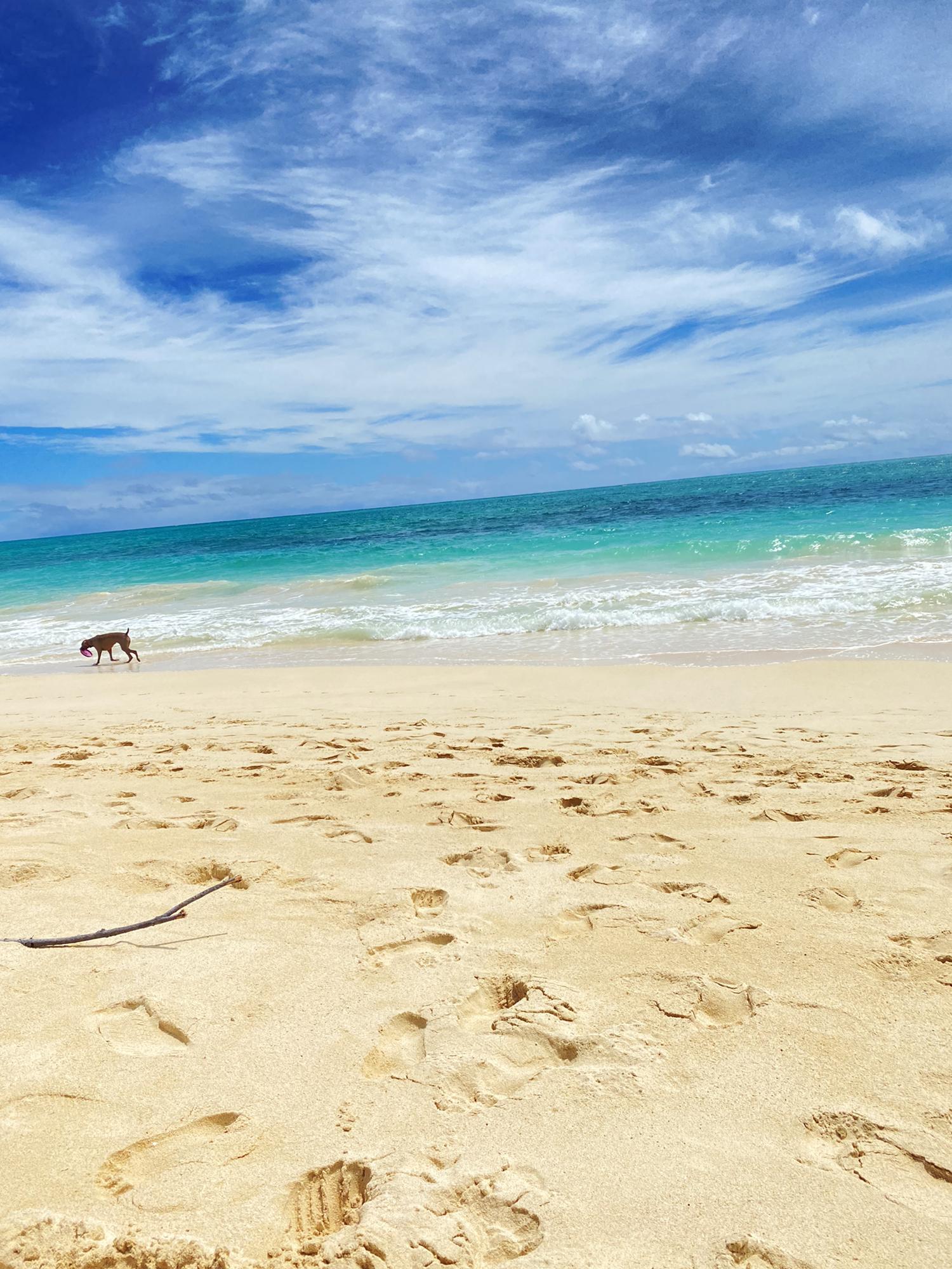 Hawaii