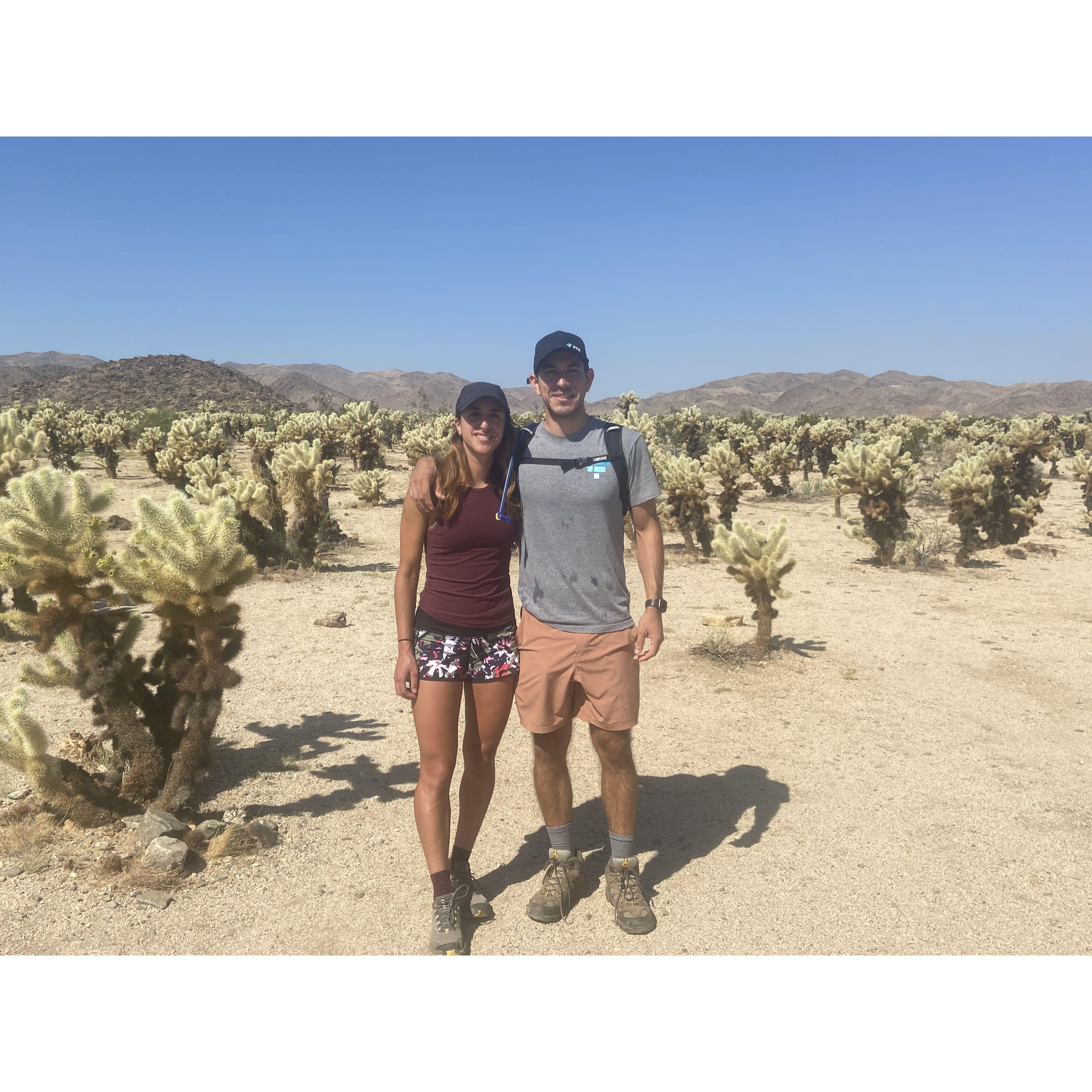 Joshua Tree National Park