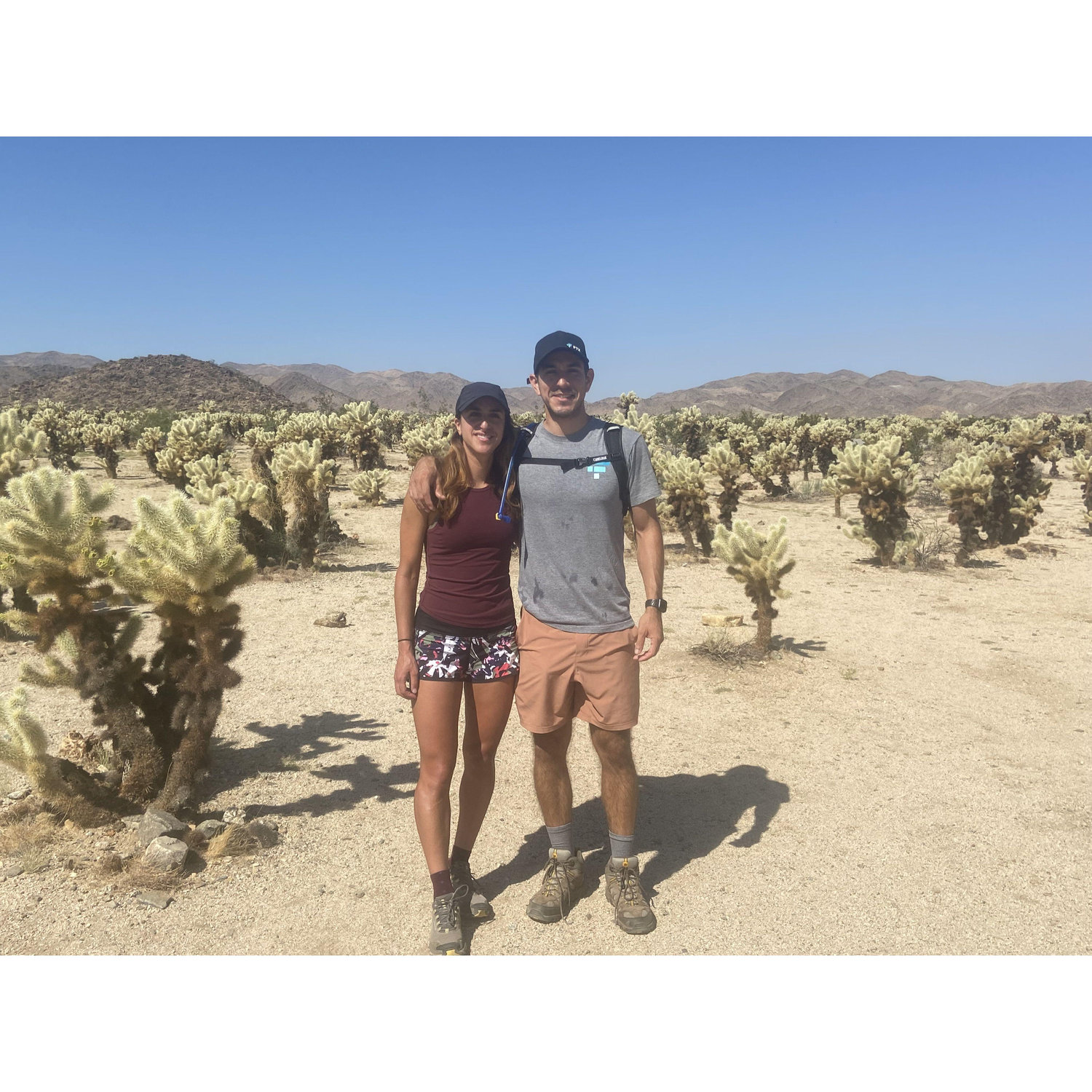 Joshua Tree National Park