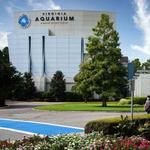 Virginia Aquarium & Marine Science Center