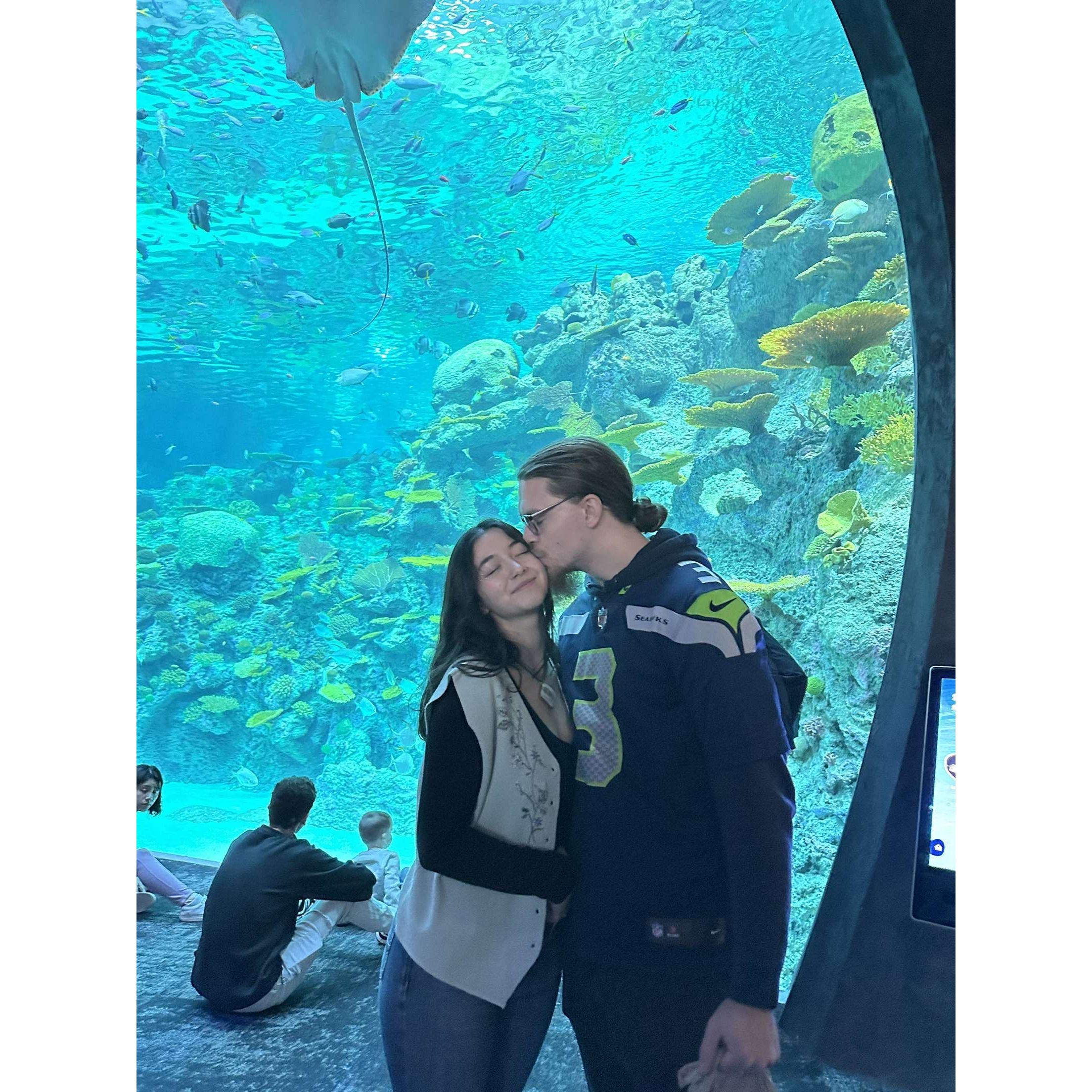 Seattle Aquarium 2025