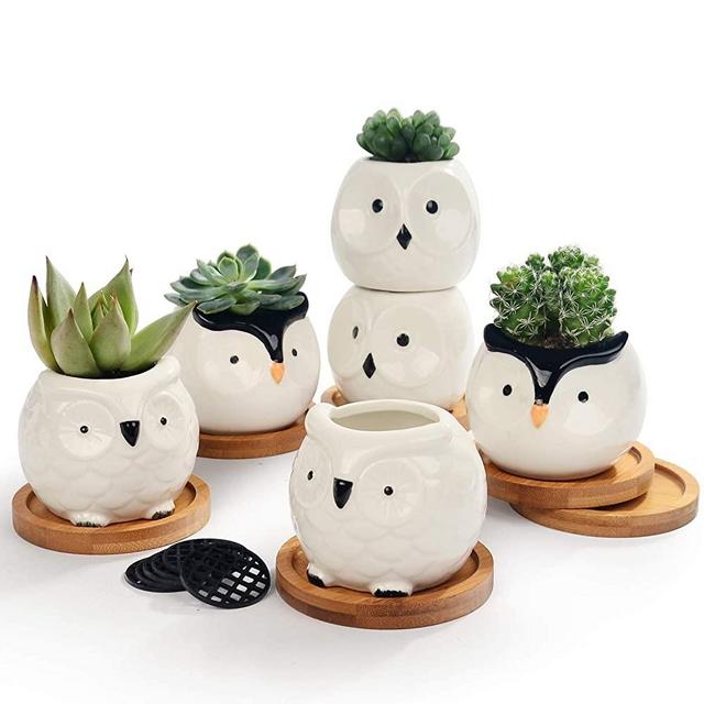 Set of 6 White Ceramic Planters Porcelain Mini Flower Pot for Small Indoor Plant Succulent Cactus with Drainage and Wooden Saucer Tray (White Owls)