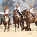 Pacific Horseback Riding Tour