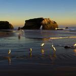 Natural Bridges State Beach