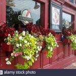 Horsefeathers